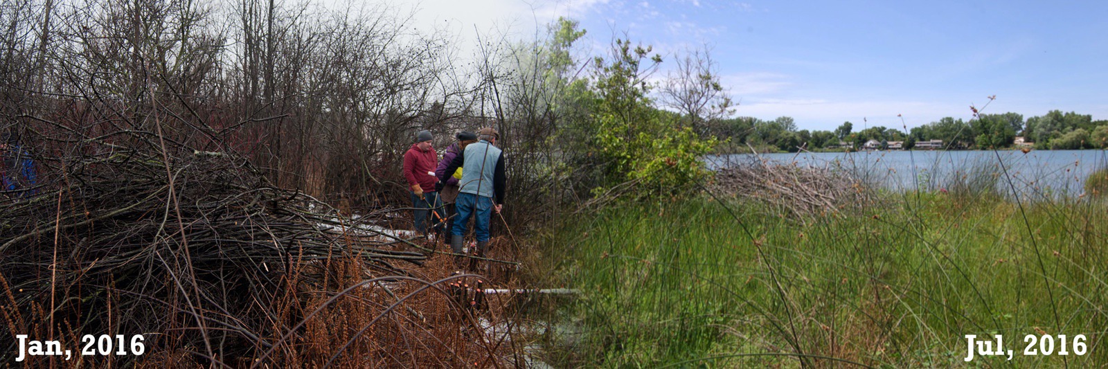 Wetland changes winter to summer