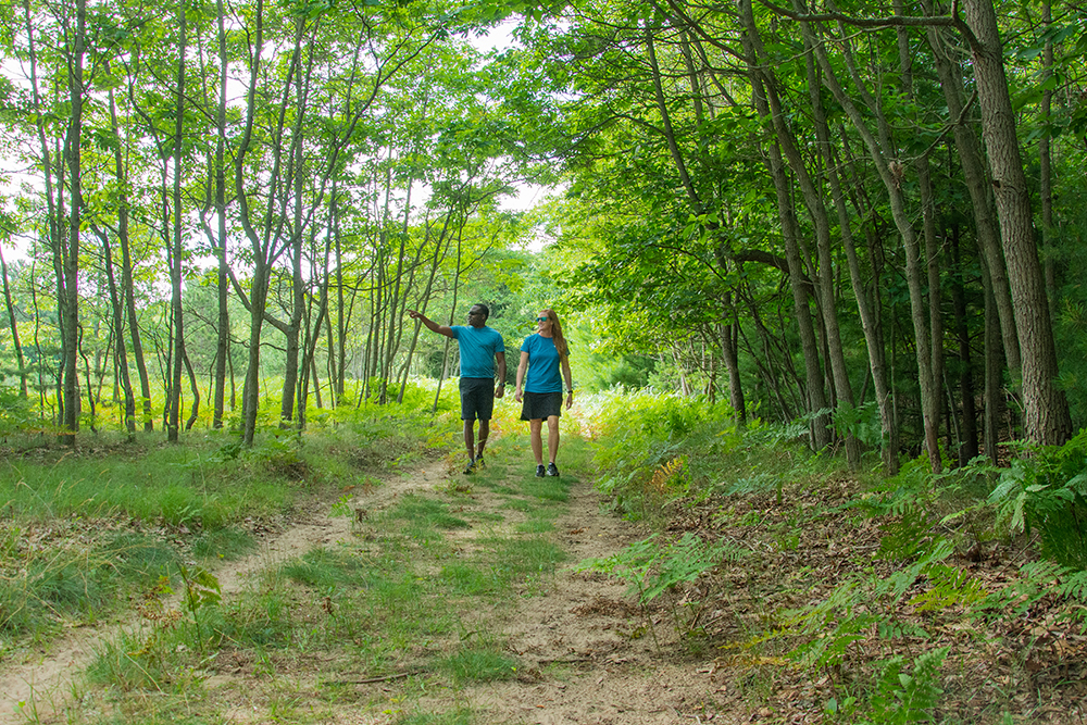 Man and woman walk along the forest trails at Dune Harbor County Park