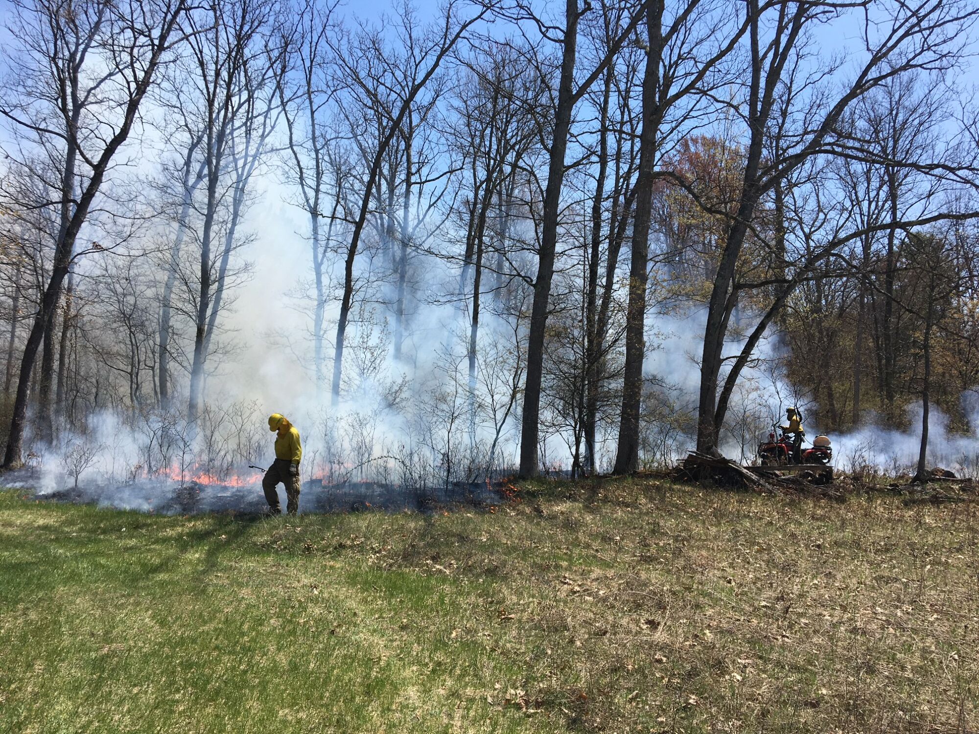 Smoke fills a forest as prescribed burn staff stand by.