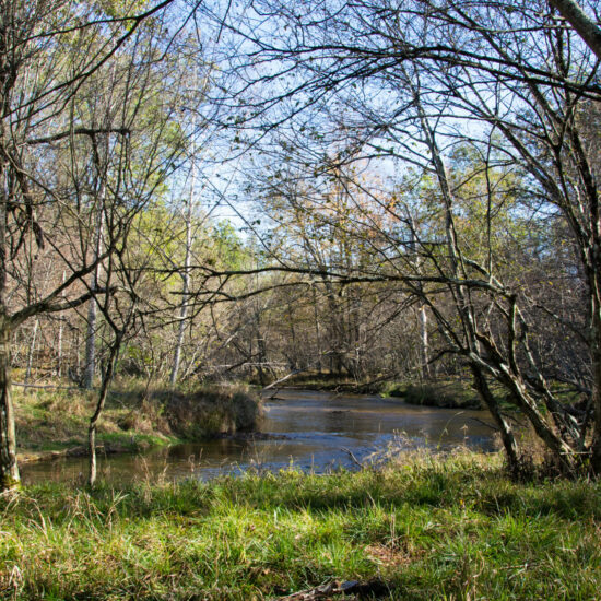 Autumn view of the Little South Branch of the Pere Marquette River