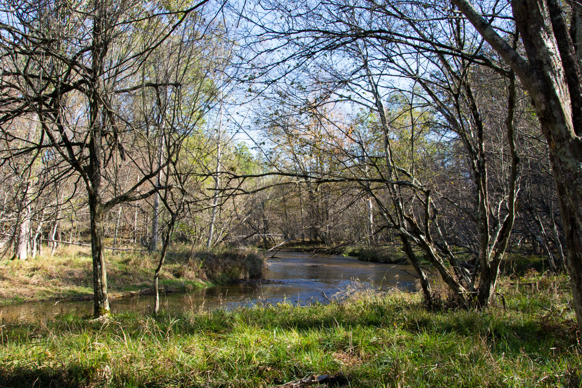 Autumn view of the Little South Branch of the Pere Marquette River