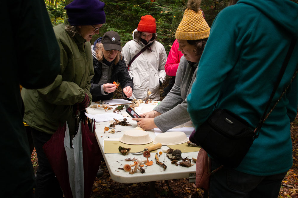 Attendees investigate fungi found at Flower Creek Dunes Nature Preserve