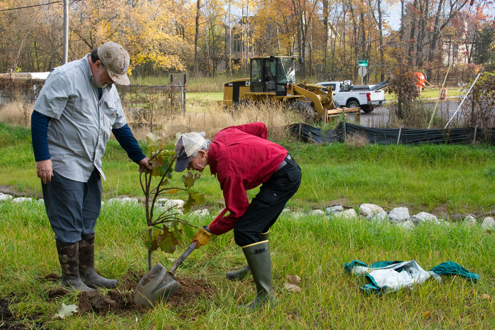 Volunteers plant trees near the stream daylighting project at The Highlands