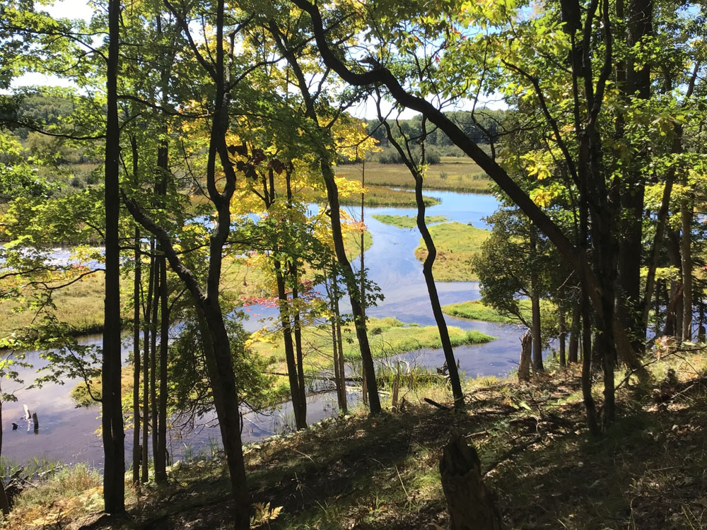 A fall view of the Pere Marquette River from a conservation easement property.