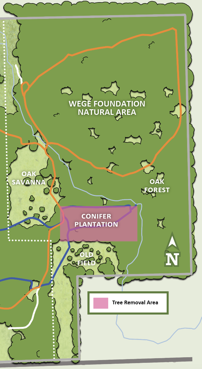 Map of Wege Foundation Natural Area showing restoration area.